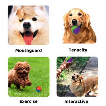 6Pcs Squeaky Dog Ball, Dog Toys Teeth Cleaning Puppy Chew Toys Pet Training Ball Dogs Interactive Dogs Balls