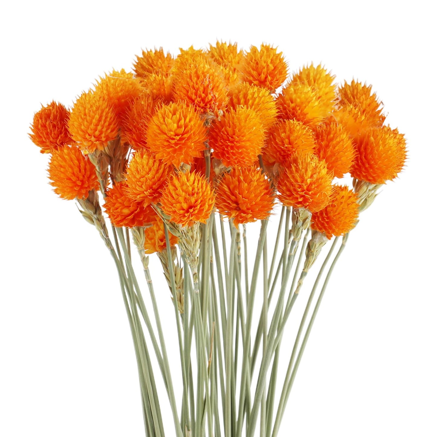 MIHUAGE Dried Globe Amaranth Flower with Wheat Straw Natural - 40PCS Bouquet for Vase Home Decor Party DIY Arrangement (Orange)