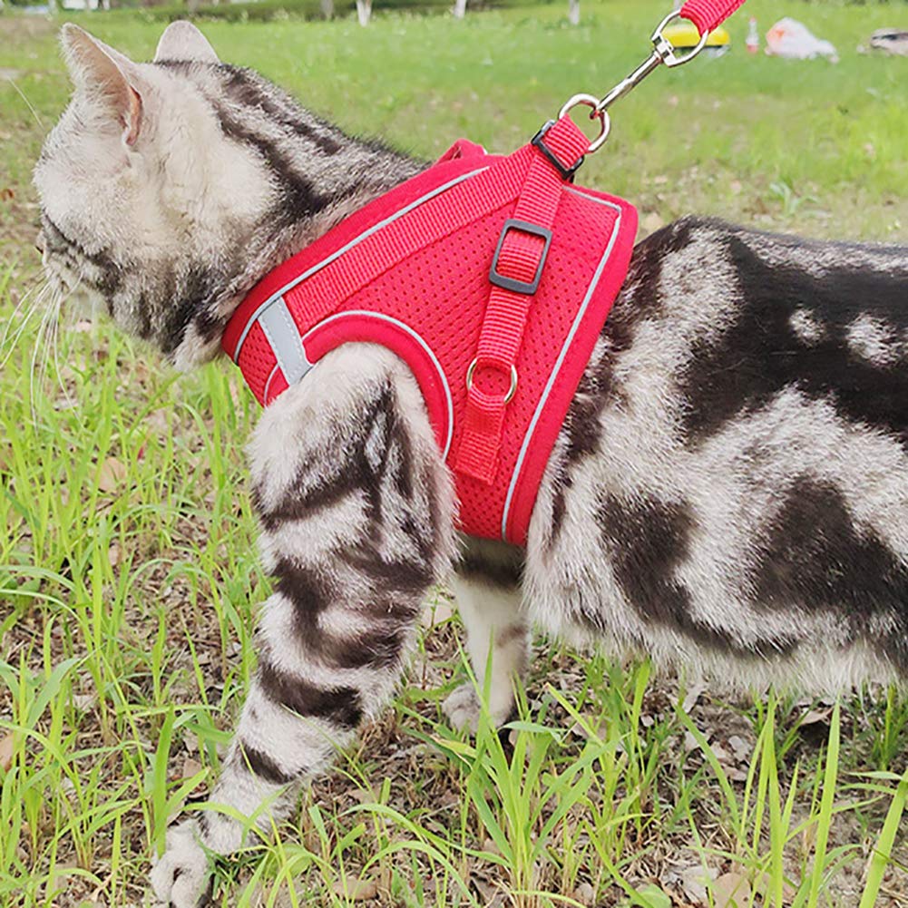 Puppy Harness and Leash Set, Escape Proof Dog Cat Vest Harness for Cats Small Medium Dogs, Adjustable Reflective Step in Harness,Soft Mesh Comfort Fit No Pull No Choke (Medium(13.7"-15.7"), Red)