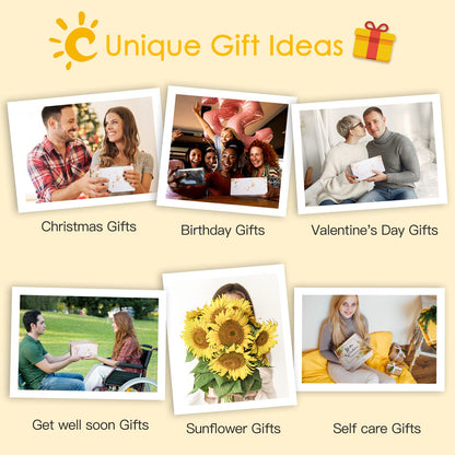 Birthday Gifts for Women, Sending Sunshine Christmas Gifts, Get Well Soon Gifts Basket Care Package Unique Spa Gifts Box with Wine Glasses for Thinking of You Her Sister Best Friend