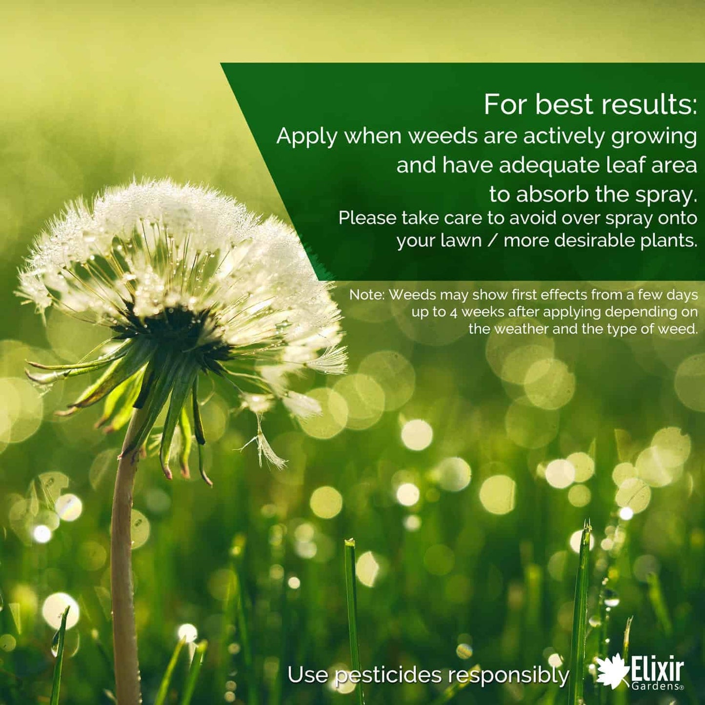 Elixir Gardens 360 g/l Glyphosate Commercial Industrial Strength Weed Killer | Treats up to 3332 sq.m | Concentrated Herbicide/Weedkiller | 2 x 1 Litre Bottle + Measuring Cup & Gloves