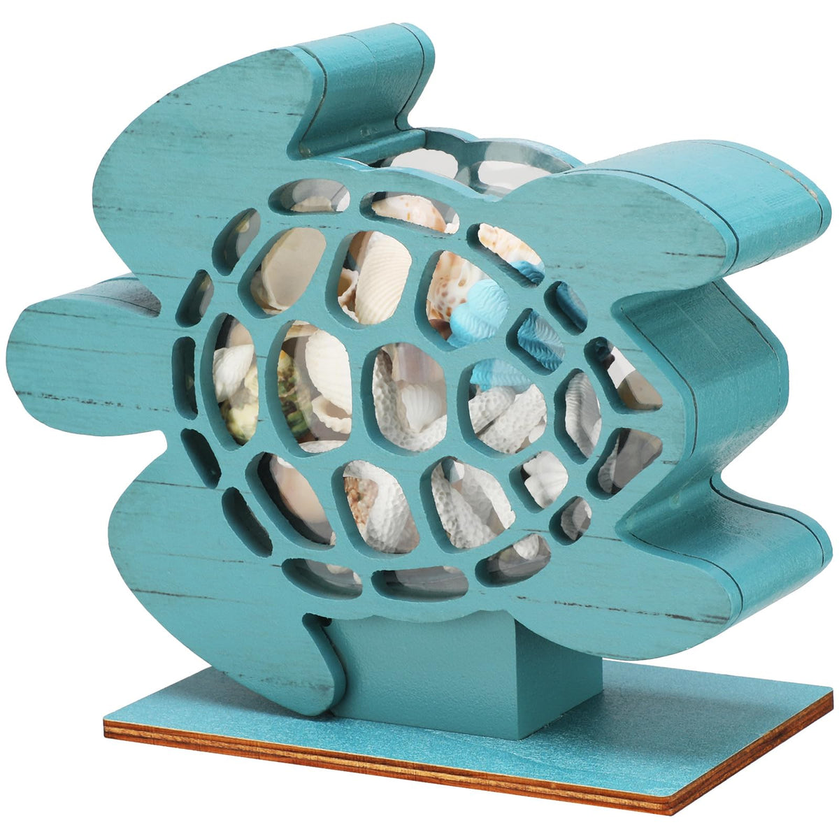 CroBlissful Green Sea Turtle Seashell Holder Seashell Display Box Wooden Small Starfish Shell Display Case with Acrylic Clear Window Shark Tooth Collection Box for Shells Sea Rock Home Decor Present