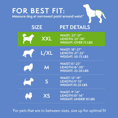 Simple Solution True Fit Disposable Dog Diapers for Female Dogs - Super Absorbent with Wetness Indicator - XXL (Waist 22-37in) - 30 Count