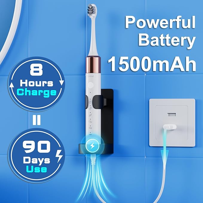 Electric Toothbrush, 10 Brush Heads & Travel Case, 000 VPM Electric Motor & USB