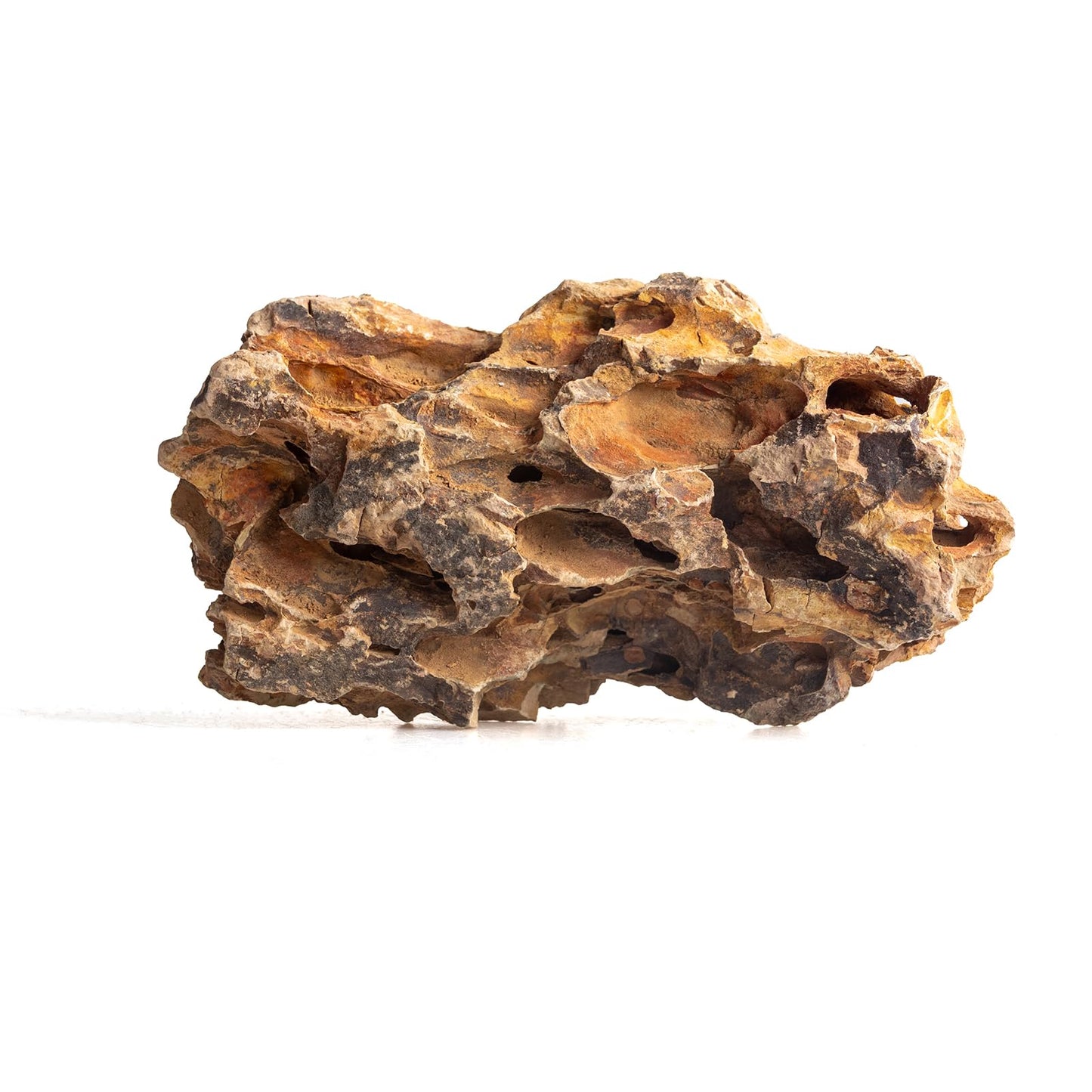 L LIQI Large Dragon Stone Aquarium Rock, 1 Piece 6–8 in Ohko Stone Centerpiece for Aquascaping, Fish Tank, Terrarium, Reptile Enclosure, Paludarium and Bonsai Decor