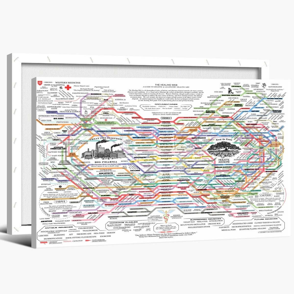 The Healing Web Holistic Health Map Canvas Print - A Guide to Natural and Allopathic Remedies Poster for Home Decor (30x40cm-Wood Frame