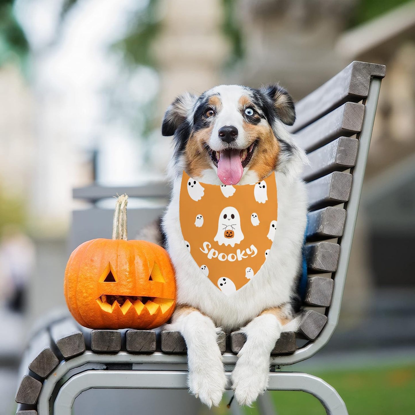 Halloween Dog Bandanas 2 Pack Adjustable Triangle Ghosts Boo Dog Outfits Cute Halloween Pet Bandanas Puppy Scarf Holiday Scarves for Small Medium Large Boy Girl Dogs
