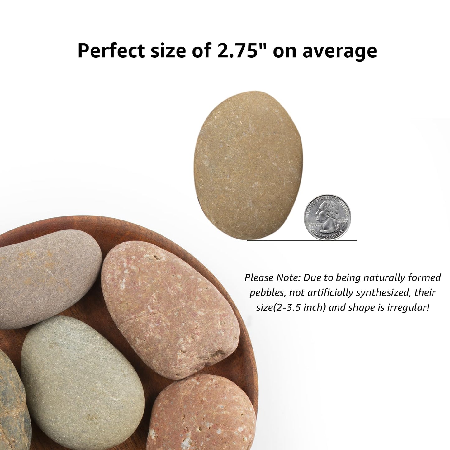 20 LBS Large Natural River Rocks – 2-3.5 Inch Unpolished Decorative Pebbles for Landscaping, Garden Paving, Fish Tanks, Planting, Crafting, Walkways, and Painting