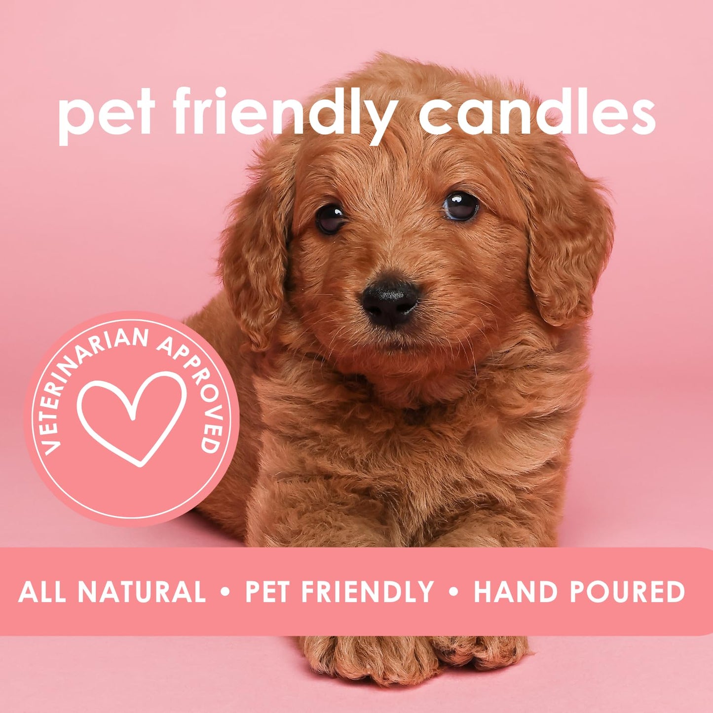 Pet Safe Candle for Dogs | Non Toxic Coconut Apricot Wax Candle | Clean Burning, Paraffin-Free | Pet Odor Eliminating Home Fragrance | Bergamot Sunrise | 4 oz