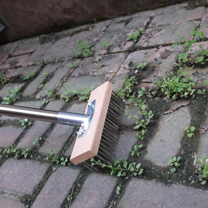 Stainless Steel Wire Scrub Brush