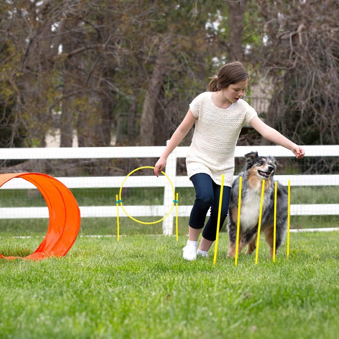 Outward Hound Kyjen 42003 Zip & Zoom Outdoor Agility Kit 3 Obstacle Dog Agility Kit with Dog Tunnel Weave Pole High Jump, Large, Multicolor