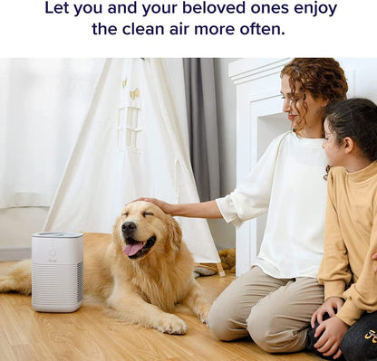 LEVOIT Air Purifier for Bedroom Home, Dual HEPA Filters with Aromatherapy Diffuser, Quiet Sleep Mode, Air Cleaner for Smoke, Allergies, Pet Dander, 100% Ozone Free, LV-H128, Gray