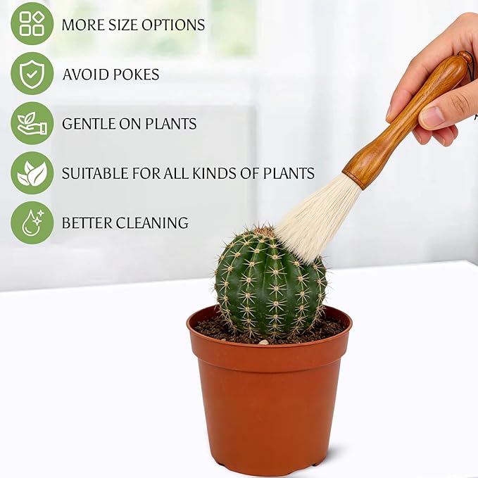 Cactus Plants Cleaning Brushes, Wooden Handles