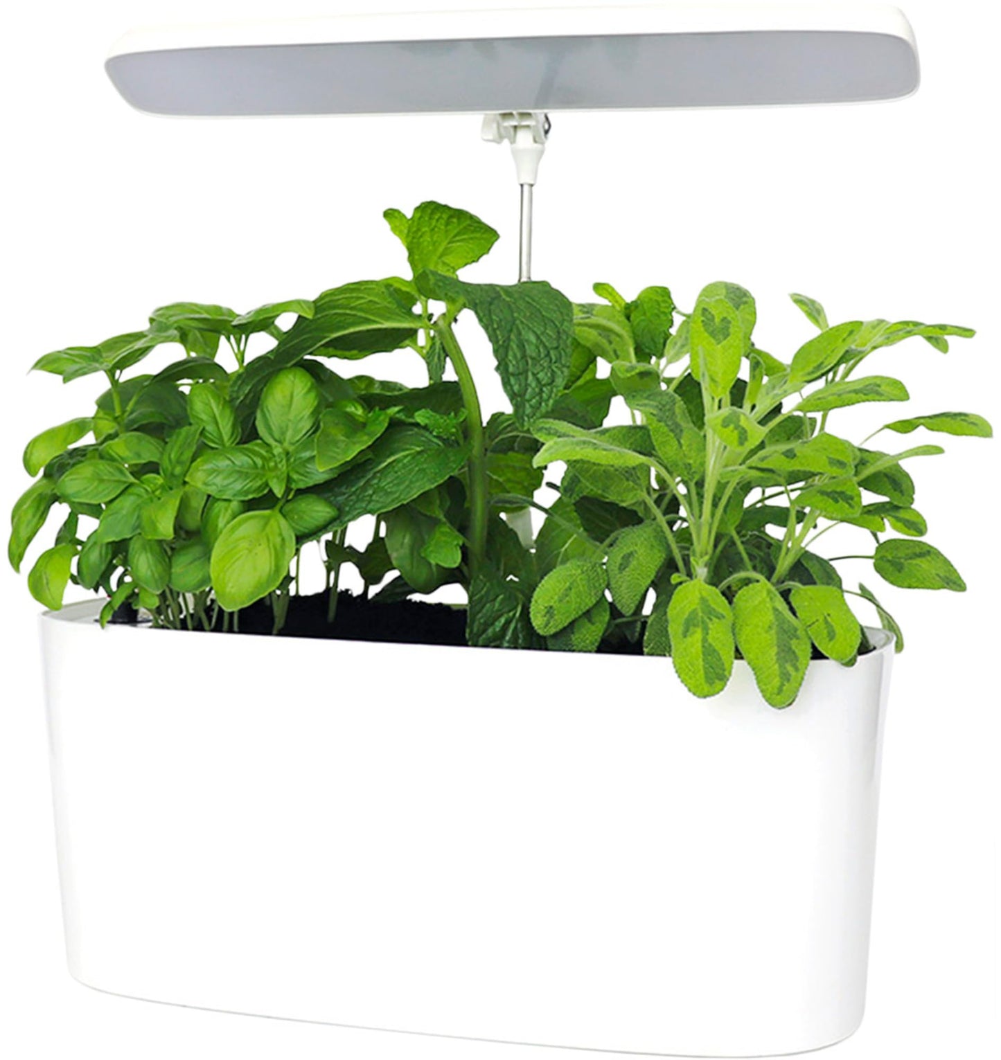 SunBlaster Nano Growlight Garden, Indoor Herb Garden and Countertop Planter with Passive Hydroponic System, Dimmable LED Light, Timer, and Gaia Green All Purpose Fertilizer (LED)