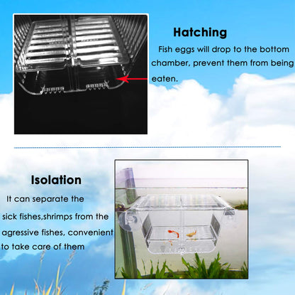 capetsma Fish Breeder Box Fish Hatchery Floating Fish Breeding Box with Removable Grating Perfect Fish Tank Divider for Agreesive Injured Pregnant Fishes,Blue,L