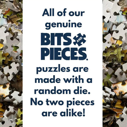 Bits and Pieces – Enter If You Dare Jigsaw Puzzle for Adults – Haunted House Halloween Scene – 300 & 500 (18" x 24"), 1000 (20" x 27") & 1500 (24" x 33") Piece Options (300 Piece Puzzle)