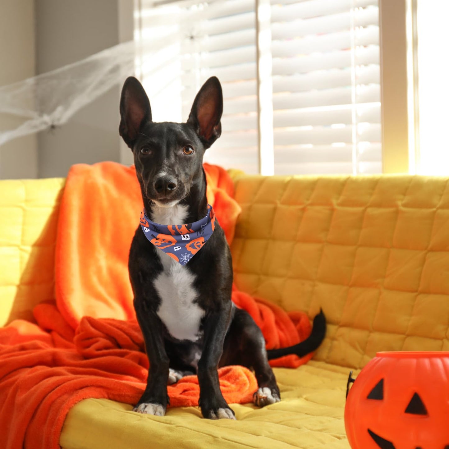 PAWCHIE Halloween Bandanas 4 Pack, Reversible Pumpkin Dog Scarf Bibs, Dog Holiday Costume Set with Two Adjustable Snaps, Multiple Halloween-Themed Patterns for Puppy, Cats, Pets