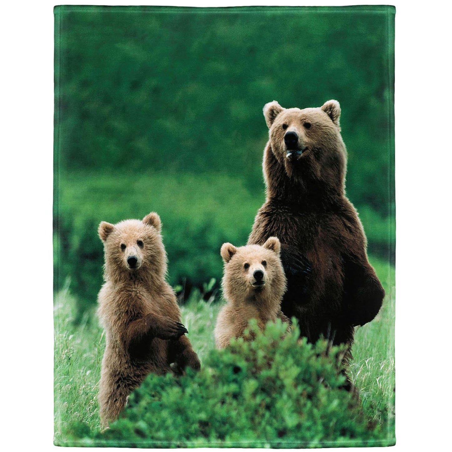 KLRIGR Soft Cozy Fleece Throw Blanket, Brown Bears Print Lightweight Warm Flannel Blanket for Couch Sofa Bed Living Room Bedroom Home Decor, 60x80 Inches