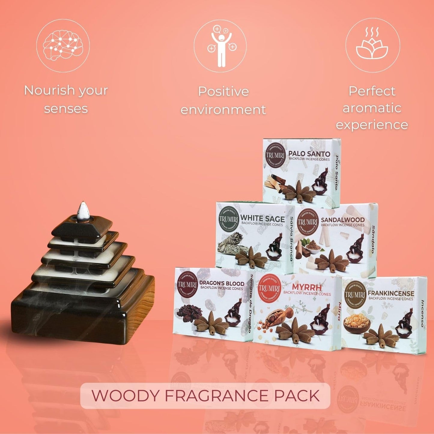 Woody - Backflow Incense Cones for Waterfall - Scented Inscents-Cones - Sandalwood, Dragons Blood, Palo Santo, White Sage - Insiensos Aromaticos - 6x10=60 Large Variety Pack - Back Flow Down Reverse
