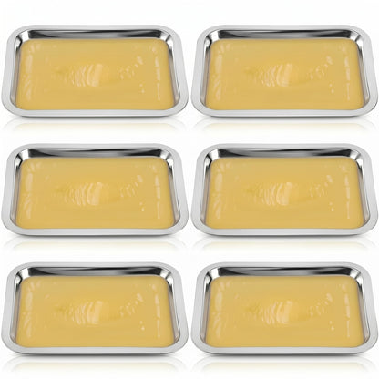 iplusmile 6 Set Dissection Pan with Wax, 10.2" x 7.5" Reusable Thicken Stainless Steels Dissection Kit for Laboratory Science Education & Medical Students Experiments