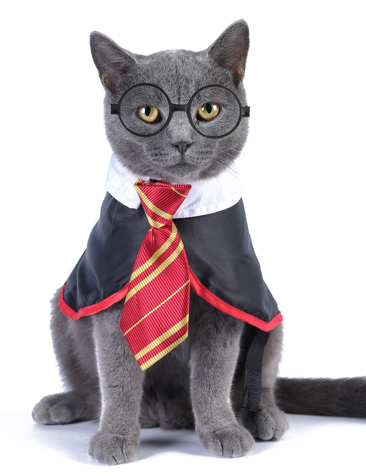 Impoosy Halloween Cat Costume Small Dog Wizard Pet Clothes Cute Apparel Puppy Shirts with Glasses (Large)
