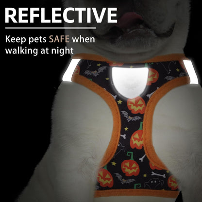 PUPTECK Adjustable Dog Harness Collar and Leash Set Step in No Pull Pet Harness for Small Medium Dogs Puppy and Cats Outdoor Walking Running, Soft Mesh Padded Reflective Vest Harnesses, Halloween, S