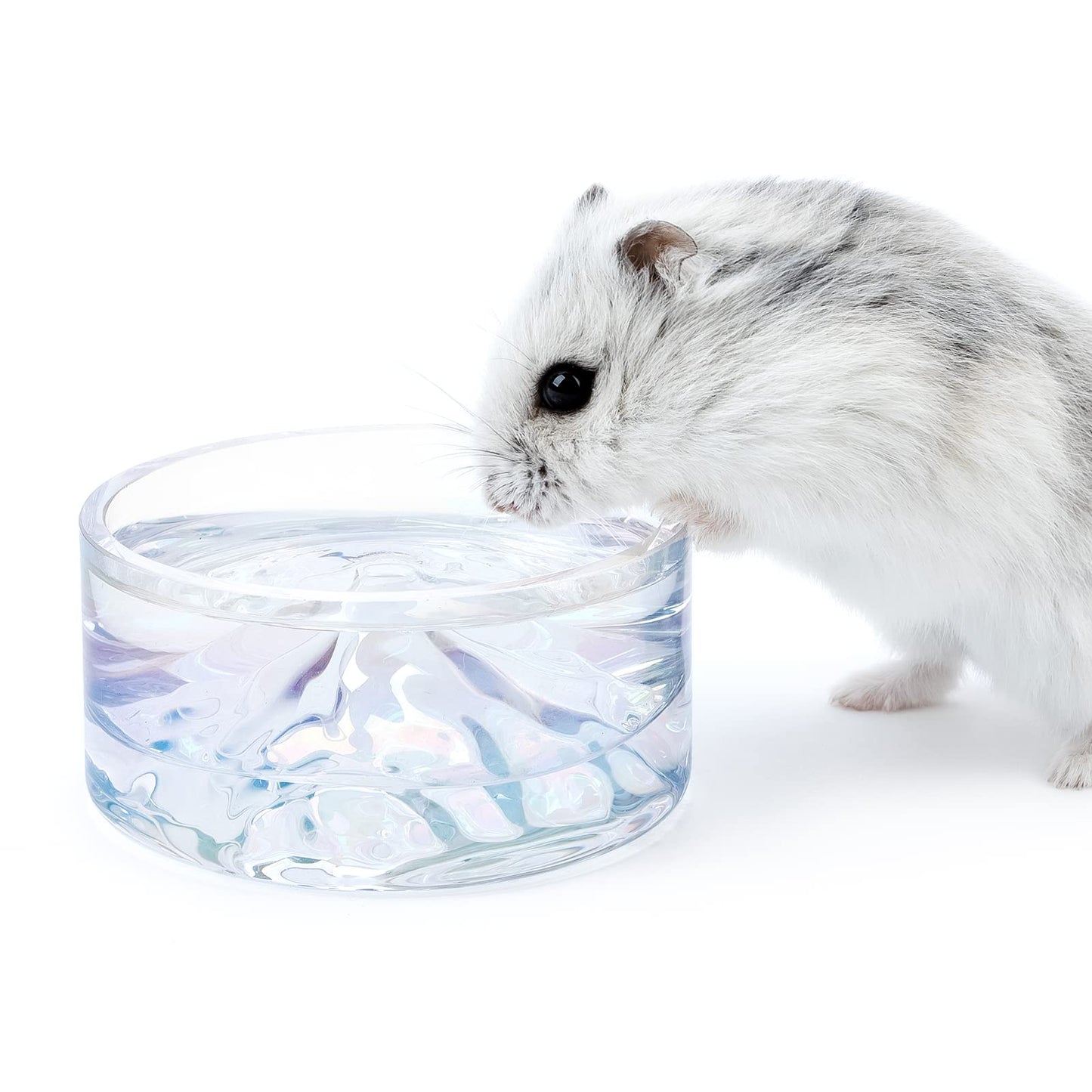 Niteangel Hamster Feeding & Water Bowls- Mount Fuji Series Glass Drinking Bowls for Dwarf Syrian Hamsters Gerbils Mice Rats or Other Similar-Sized Small Pets (Transparent)