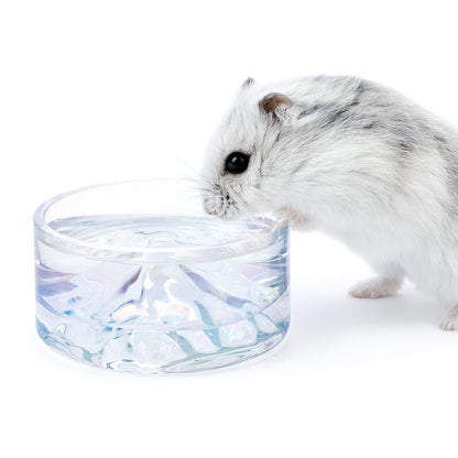 Niteangel Hamster Feeding & Water Bowls- Mount Fuji Series Glass Drinking Bowls for Dwarf Syrian Hamsters Gerbils Mice Rats or Other Similar-Sized Small Pets (Transparent)