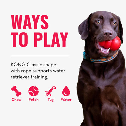 KONG Aqua Floating Fetch Toy - For Water Retrieval, Play & Exercise - With Foam Interior & Rope for Throwing - For Large Dogs, Orange