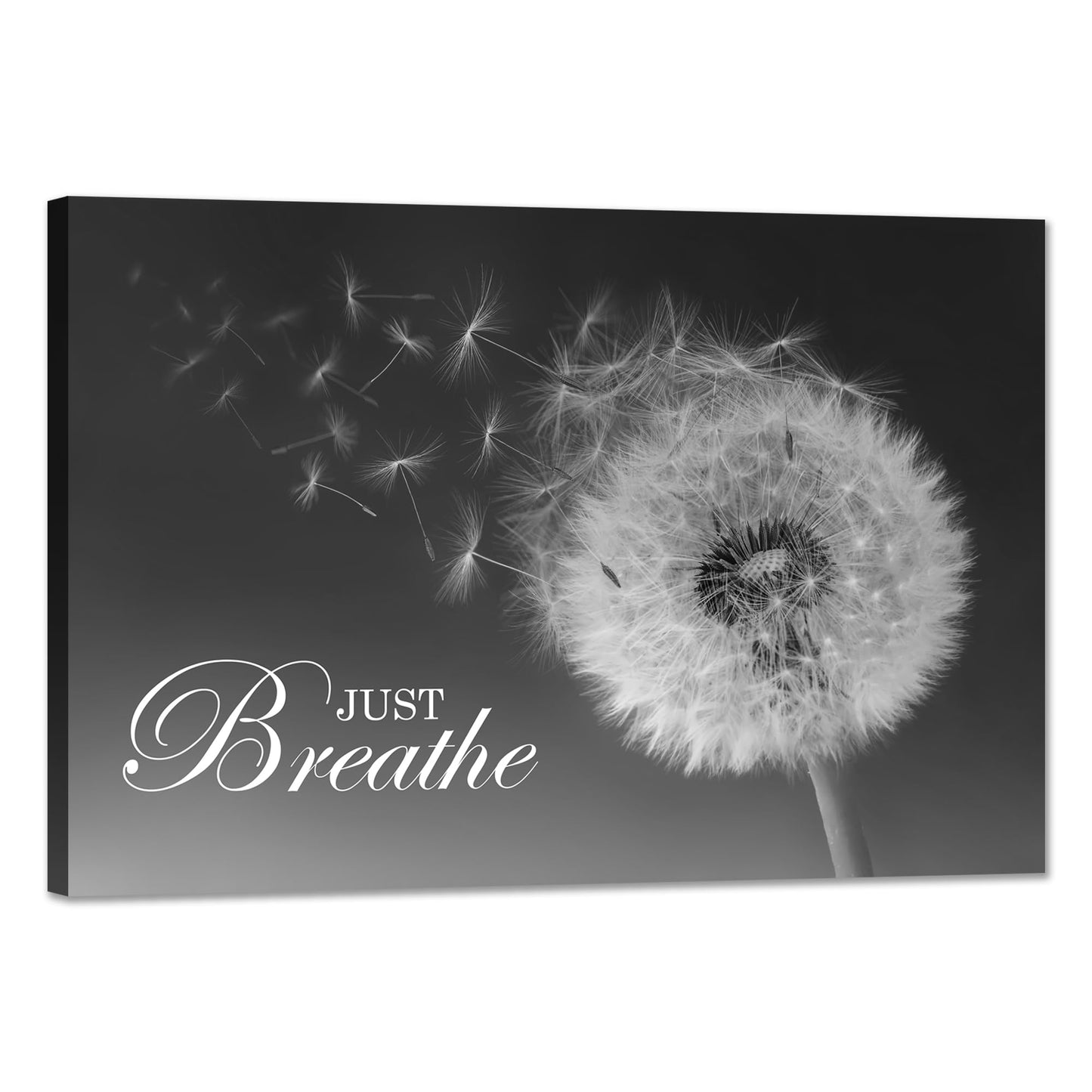 SKASNFAI Just Breathe Wall Art Zen Office Wall Decor Inspirational Yoga Quotes Positive Relax Artwork Picture Black and White Dandelion Posters Print for Meditation Room (16L x 24W)