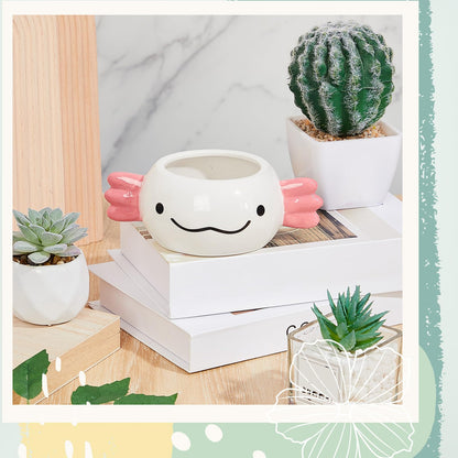 RimCereal Axolotl Planter Axolotl Gifts for Men Women Cute Succulent Pots Plant Pots Pen Holder for Christmas Desk Office Home Decoration 6.02 x 2.36 Inches