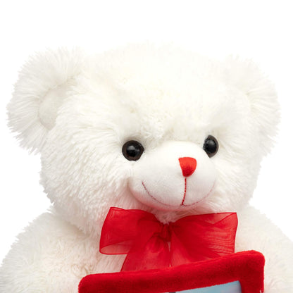 HollyHOME Teddy Bear Stuffed Animal Plush Bear with Red Bow Holding a Picture Frame Soft Plush Toy Holiday Toy Gift 12 Inches Whit