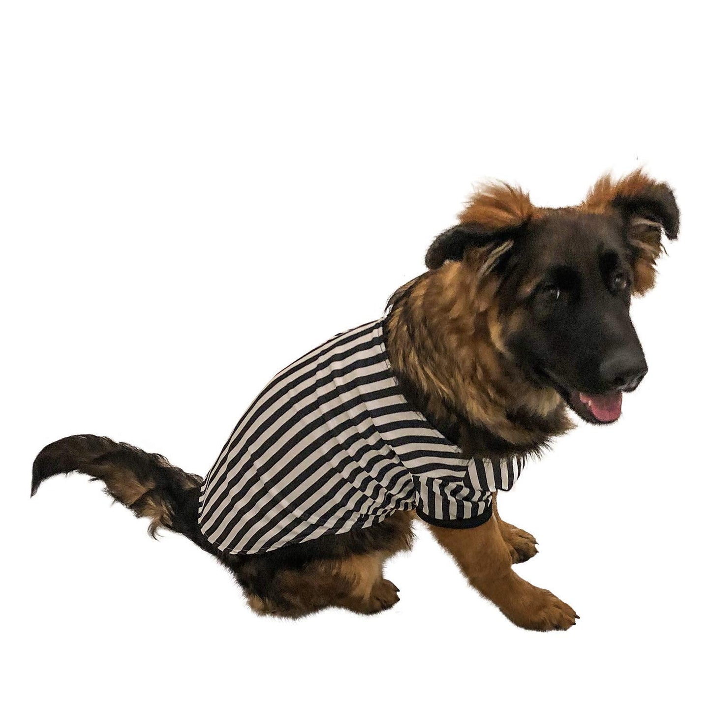 Midlee Referee Dog Halloween Costume (X-Large)