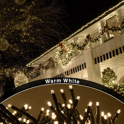 ANSIO® Christmas Lights 1000 LED 12m/39ft Cluster Christmas Tree Lights for Indoor & Outdoor Warm White Decorations Fairy Lights with Timer for Xmas Garden & Party | Mains Powered Green Cable