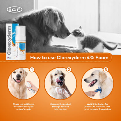 Clorexyderm 4% Foam Mousse - Dry Shampoo for Dogs & Cats - Antibacterial & Antifungal - Dry Itchy Skin Relief – Moisturises, Soothes & Softens Skin & Coat - Easy Alternative to Wet Bathing - 100 ml