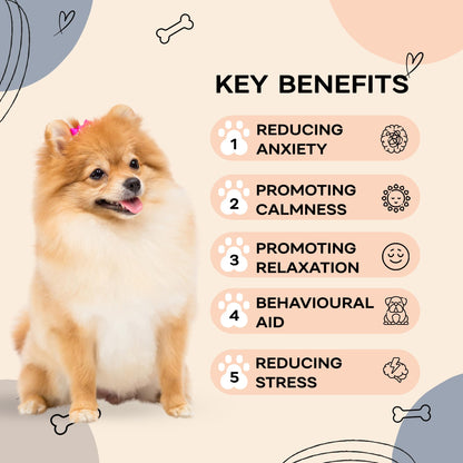 LUNA + RUFUS Upgraded Heartbeat Puppy for Dogs with Blanket, Heat Packs and Chew Toy - Pet Anxiety Relief and Calming Sleep Aid - Perfect Dog Stuffed Animal for Behavioral Crate Training - Dog Toys