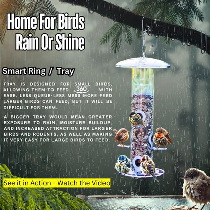 HEAVY DUTY stainless steel metal bird feeder, easy clean garden bird seed feeders hanging, bird feeders for small birds, bird feeders hanging for wild bird, hanging bird feeder for backyard BY PROVIDE