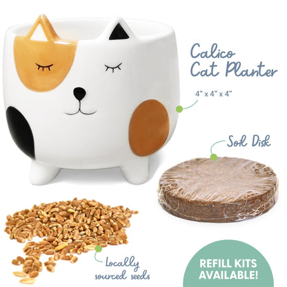 The Cat Ladies Cat Grass for Indoor Cats, Cat Grass Growing Kit with Organic Cat Grass Seed Mix, Soil and Ceramic Cat Planter, Pet Grass for Cats, Natural Hairball Remedy, Cat Gifts