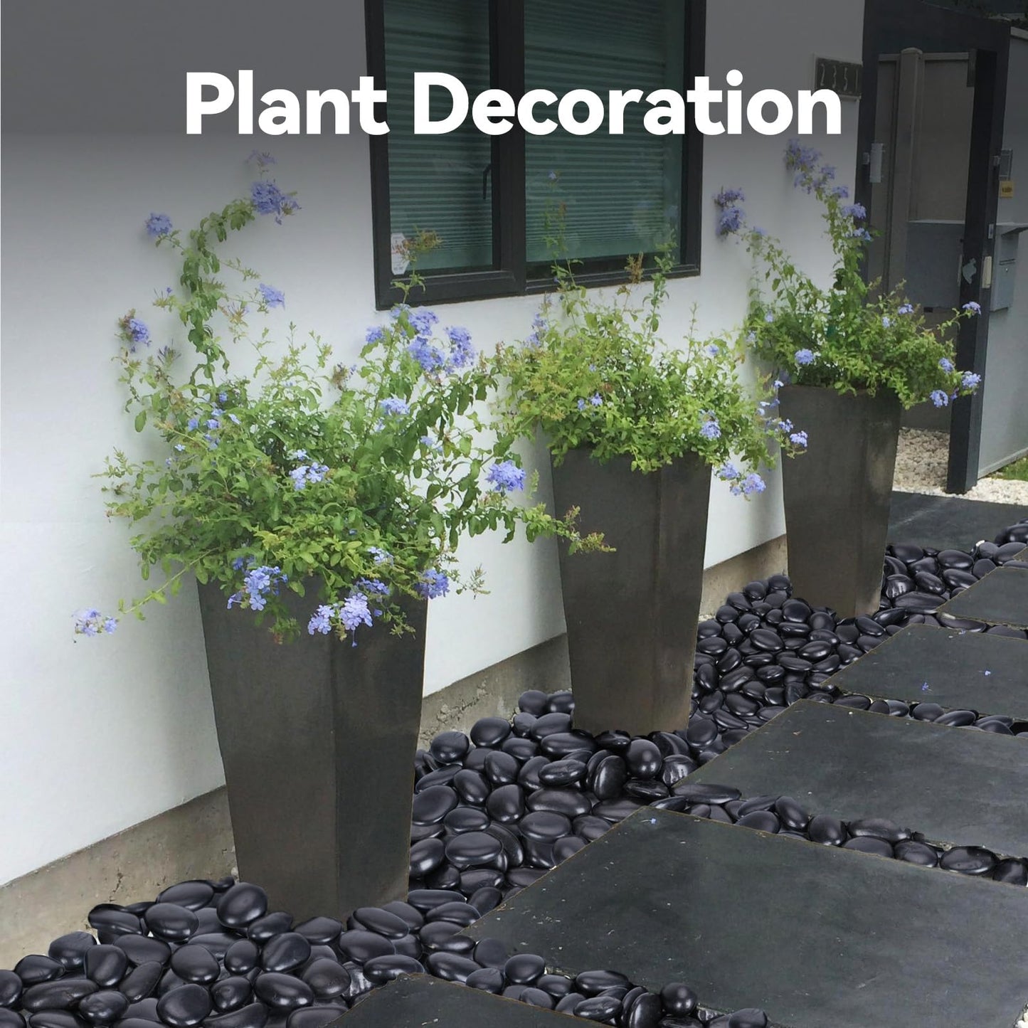 Pulovin 20 lbs Black Stones for Plants Indoor, 2-3 Inch Decorative River Rocks for Plants, Flower Pots, Vase, Polished Garden Stones for Outdoor Landscaping, Walkways, Yard