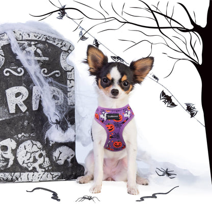 SCENEREAL Halloween Small Dog Harness Collar and Leash Set, Adjustable No Pull Pet Harnesses, No Chock Soft Mesh Step in Vest Costume for Doggie Puppy Dogs Cats Girl Boy Outdoor Walking