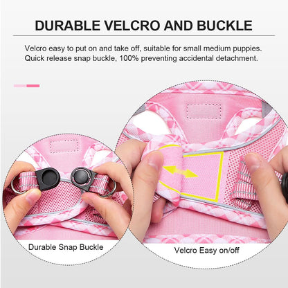 DORAMIO Step-in Dog Harness and Leash Set, Soft Mesh No-Chock Reflective Breathable Easy Walk Lightweight Vest Harnesses with Safety Buckle for Small Dogs, Cats, Puppies (Pink, XXS)