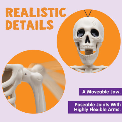 JOYIN 2PCS 16" Halloween Skeleton Decor, Full Body Stayable Movable Joints, Posable Hanging Skeletons for Halloween Decoration, Yard, Graveyard, Haunted House Props, Spooky Scene Party Favor