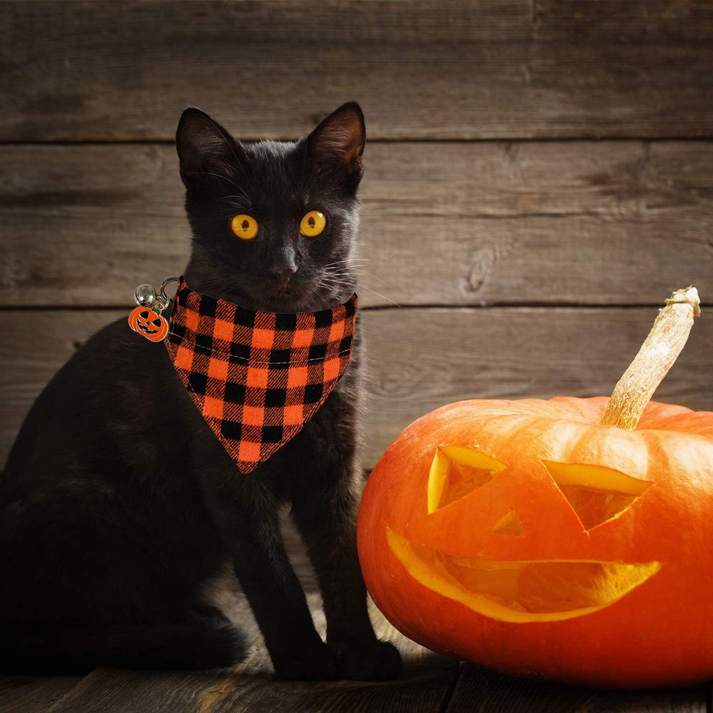 STMK 2 Pack Halloween Cat Bandana Collar with Bell, Breakaway Halloween Cat Kitten Bandana Collar with Bell Pumpkin for Halloween Cats Kittens Costume Decorations, Orange and Purple