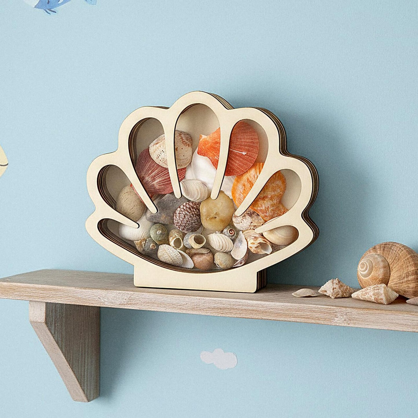 Ckhoid 2PCS Sea Shell Holder, Wooden Seashell Display Case with Clear Window, Small Shadow Storage Box for Shells Starfish Shark Tooth Keepsake, Coastal Beach Room Collection Container Decor Gift