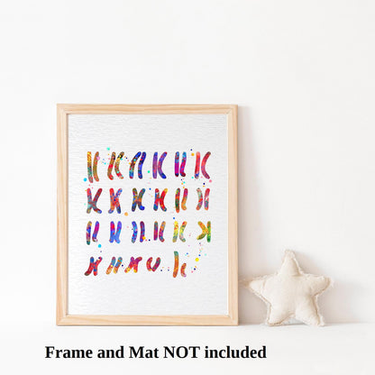 Dignovel Studios 8X10 Unframed Male Chromosome Illustration Diagram Watercolor Art Print Poster Medical Education Science Genetic Wall Hanging Decor DN914