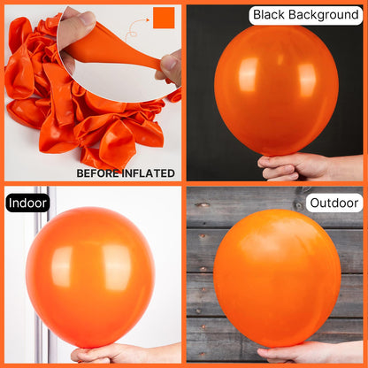 PartyWoo Balloons 145 pcs Different Sizes of 18 12 10 5 Inch Orange Fall Balloon Arch Kit Garland for Thanksgiving Halloween Little Cutie Baby Shower Birthday Party Decorations Orange-Y9