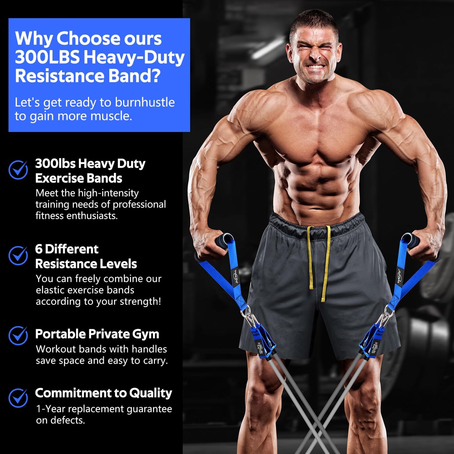 WALITO Resistance Bands Set - Exercise Bands with Handles, Door Anchor, Legs Ankle Straps, for Heavy Resistance Training, Physical Therapy, Muscle Training, Yoga, Home Workouts, Gym
