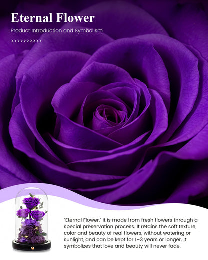 DENIMOMO Mothers Day Roses Gifts for Mom,Forever Purple Preserved Rose in Glass Dome,Mothers Day Real Flowers Roses Gifts for Wife Women Mom Grandma/Purple