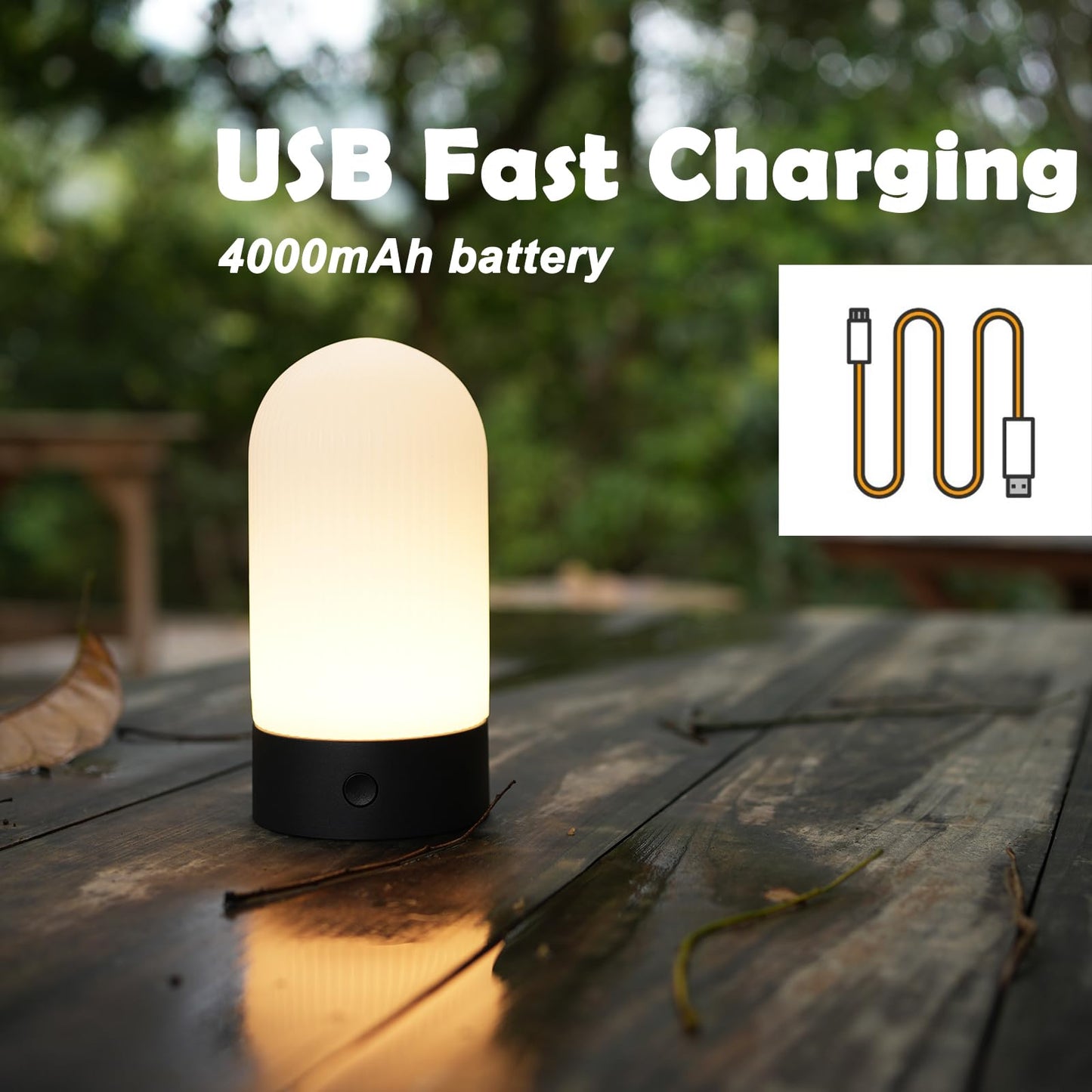 WEILAILUX Battery Operated Shower Lamp Waterproof, Small Portable Cordless Table Lamp Rechargeable, Touch Dimmable Mood Light for Home/Patio/Dining/Outdoor (Wood Grain)