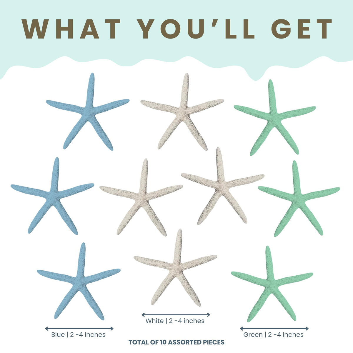 Starfish Decor - Star Fish for Craft - 10pk Real 2-4" Green Blue White Sea Stars - Beach Wedding Decor - Coastal Party Decorations